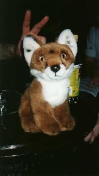 Random Manchester Furmeet Picture #20 Random Manchester Furmeet Picture #20